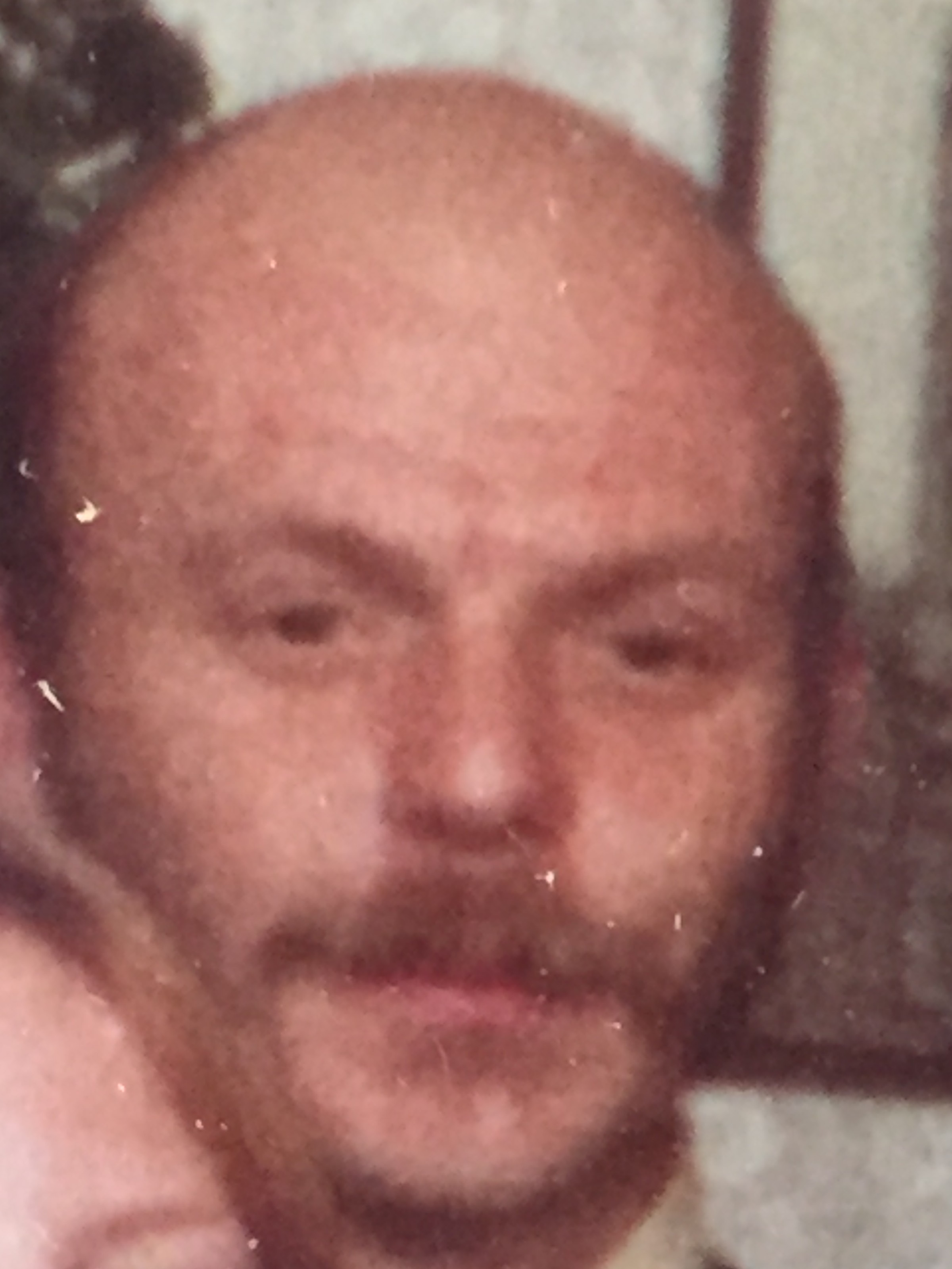Klik voor foto in apart venster co_werensteijn.jpg