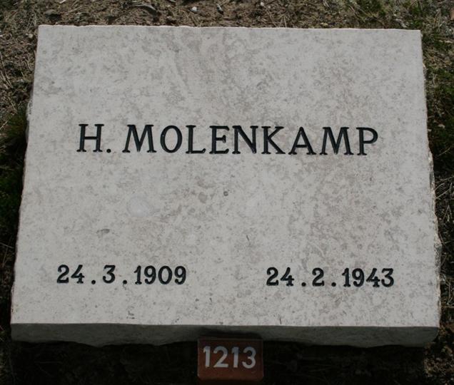 Klik voor foto in apart venster grafsteenerevelde1213.jpg