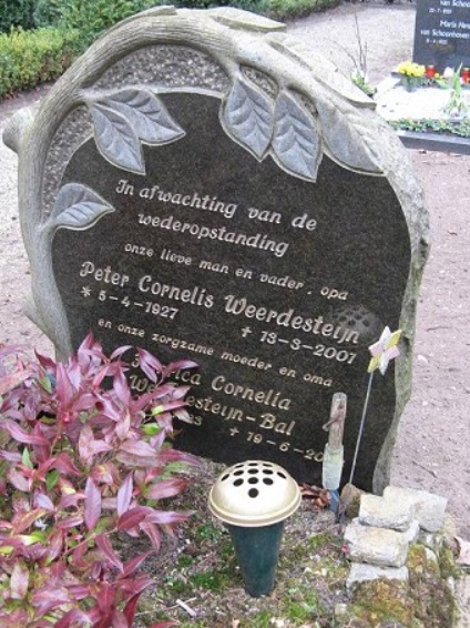 Klik voor foto in apart venster peter_weerdesteijn_en_henrica_bal.jpg